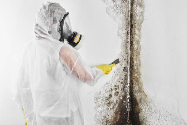 Water Damage Restoration in Two Rivers, WI