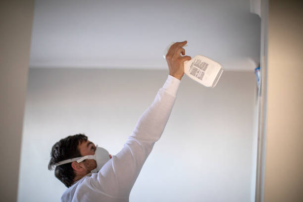 Best Mold Testing  in Two Rivers, WI