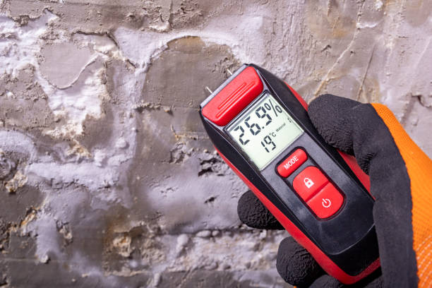 Best Local Mold Removal Service  in Two Rivers, WI